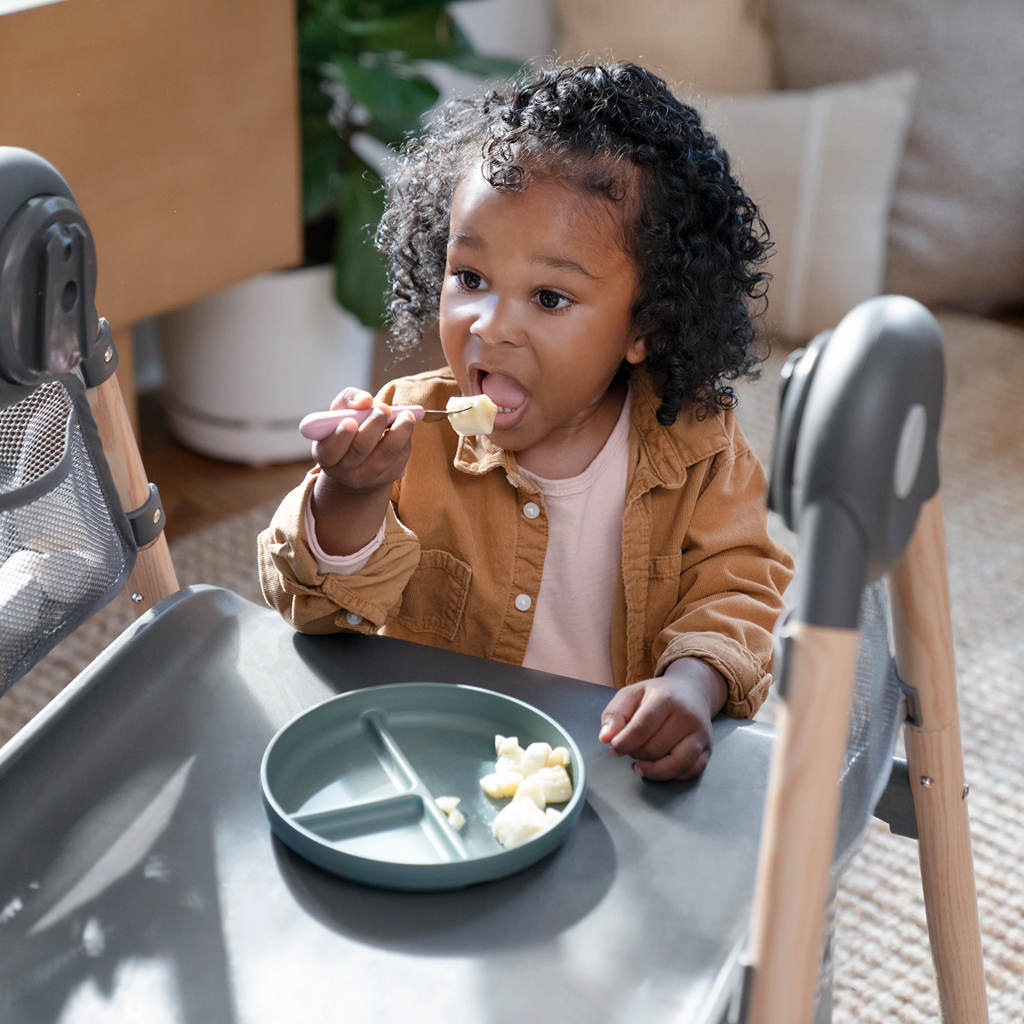 INGENUITY Multifunkciós etetőszék Wesley™ 0m+ 23kg-ig