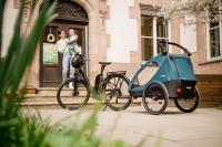 Hauck Dryk Duo 2in1 petrol