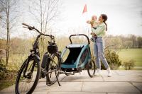 Hauck Dryk Duo 2in1 petrol