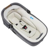 Nuna Mixx Next + Nuna Cari Next