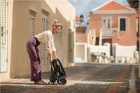 Maxi-Cosi Leona 2 2in1