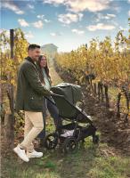 Peg-Pérego Veloce TC + Culla Belvedere mózeskosár