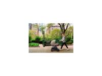 Inglesina Electa Darwin Recline 4in1