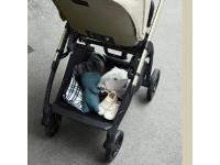 Inglesina Electa Darwin Recline 4in1