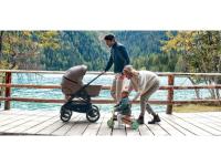 Inglesina Aptica XT Darwin Recline 4in1
