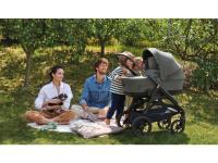 Inglesina Aptica XT Darwin 4in1