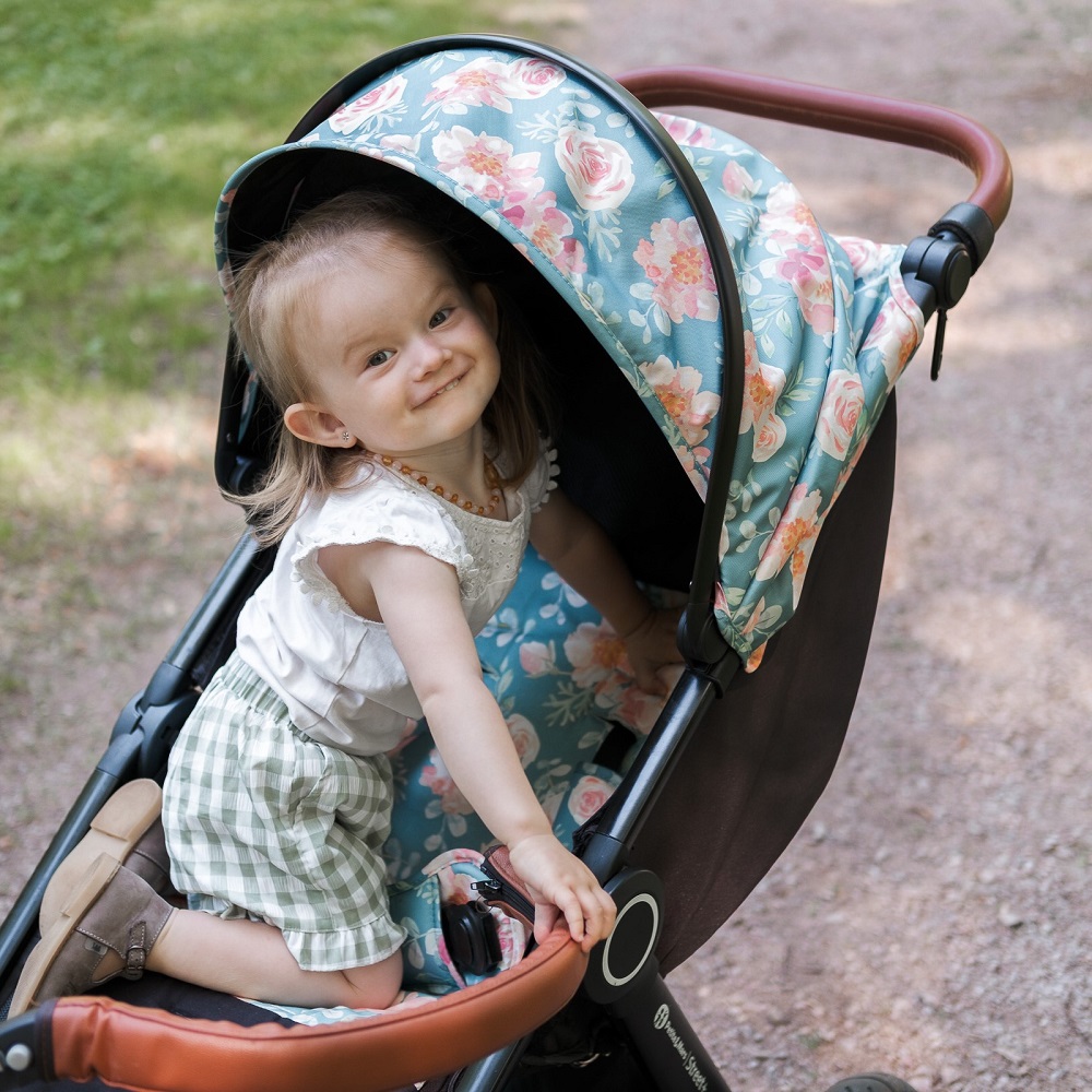 PETITE&amp;amp;amp;amp;amp;amp;amp;MARS Napfénytető+ övvédő Street+/Street2 Limited 100 Roses