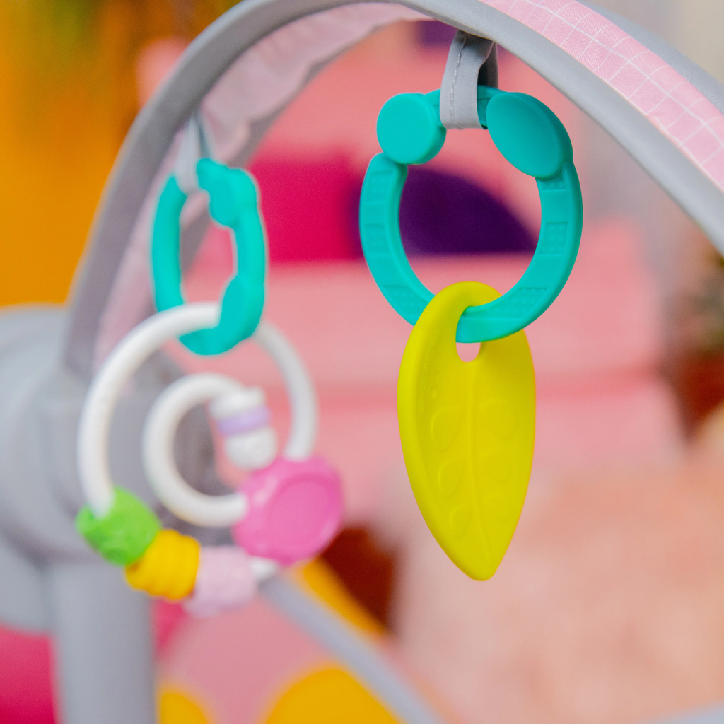 BRIGHT STARTS Pink Paradise™ dallamos hinta 0m+ 9kg-ig